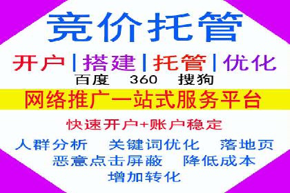 某某sem代运营公司助力企业实现线上营销目标